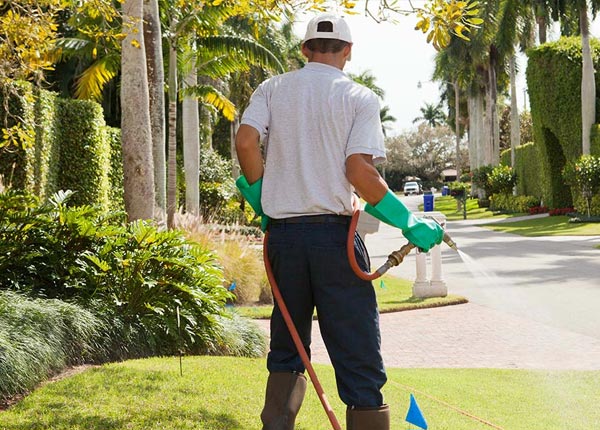 About Gypsy WV Pest Control